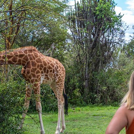 Mbweha Camp Lake Nakuru Elmenteita Bagian luar foto