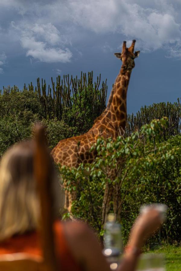 Mbweha Camp Lake Nakuru Elmenteita Bagian luar foto