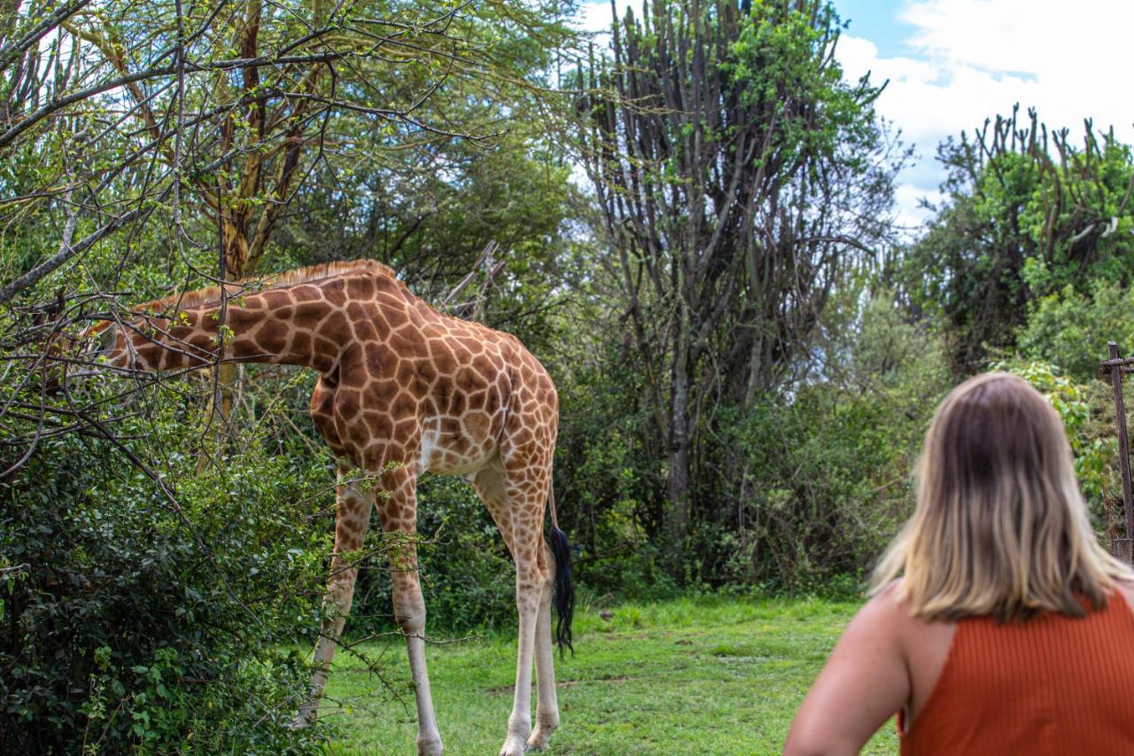Mbweha Camp Lake Nakuru Elmenteita Bagian luar foto