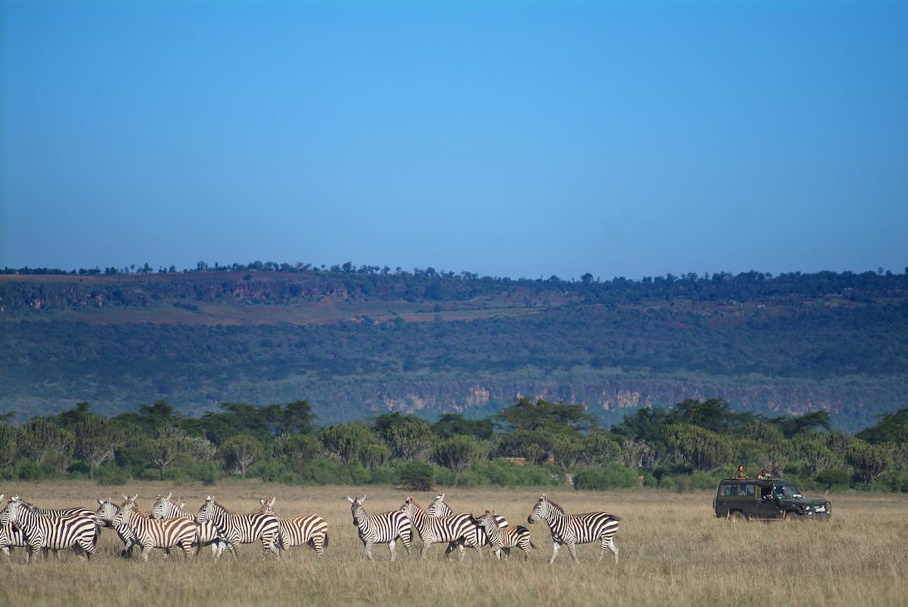 Mbweha Camp Lake Nakuru Elmenteita Bagian luar foto