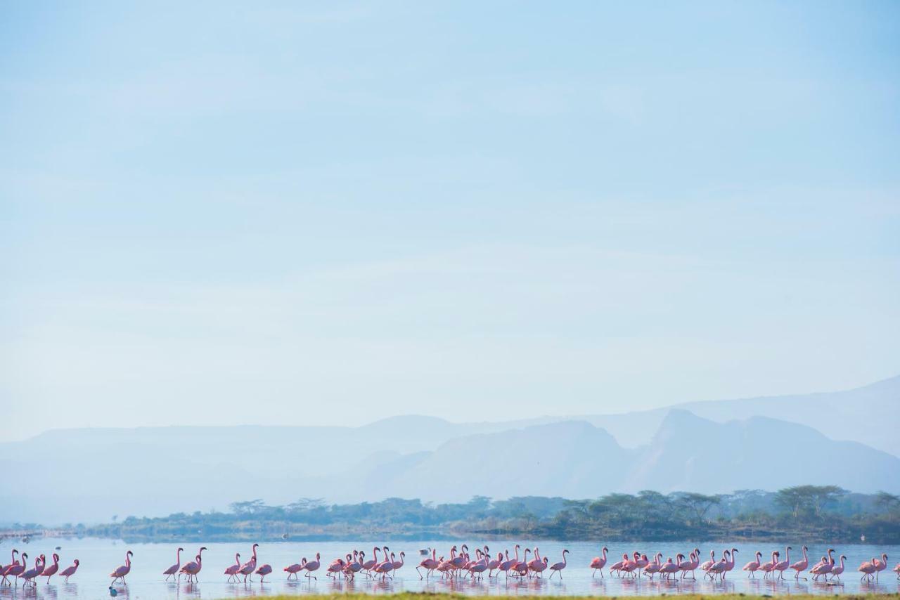 Mbweha Camp Lake Nakuru Elmenteita Bagian luar foto